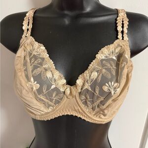 Elegant Lace Embroidered Bra - Tan